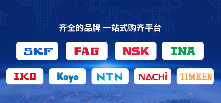 斯凯恩传动科技（上海）有限公司